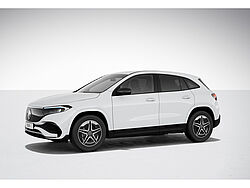Stendal Mercedes-Benz EQA 350 Fahrzeugbild - 12