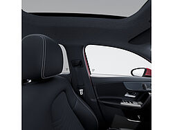 Menden Mercedes-Benz A 220 Fahrzeugbild - 15